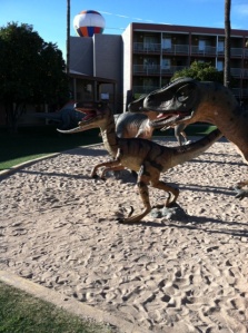 Raptors on the Volleyball court, Helen Driggs